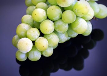 10 weight loss fruits