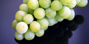 10 weight loss fruits