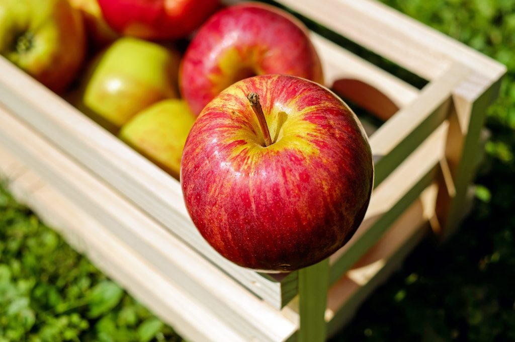 weight loss fruits for women