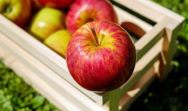 9 Best Winter Fruits You Can Eat This Year 9 weight loss fruits for women