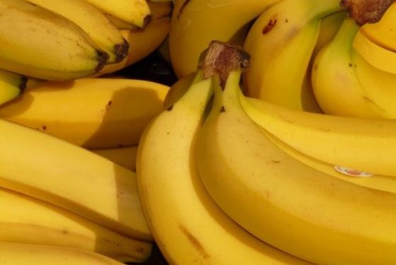 bananas best weight loss fruits