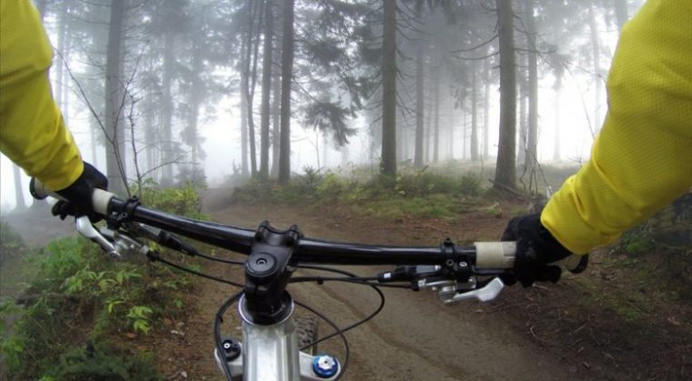 nature forest path pathway sport bicycle benefits of spending time in nature