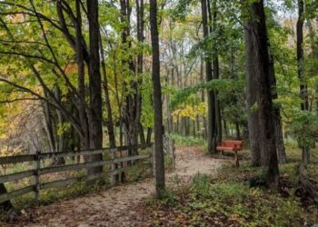 benefits of spending time in nature