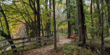 benefits of spending time in nature
