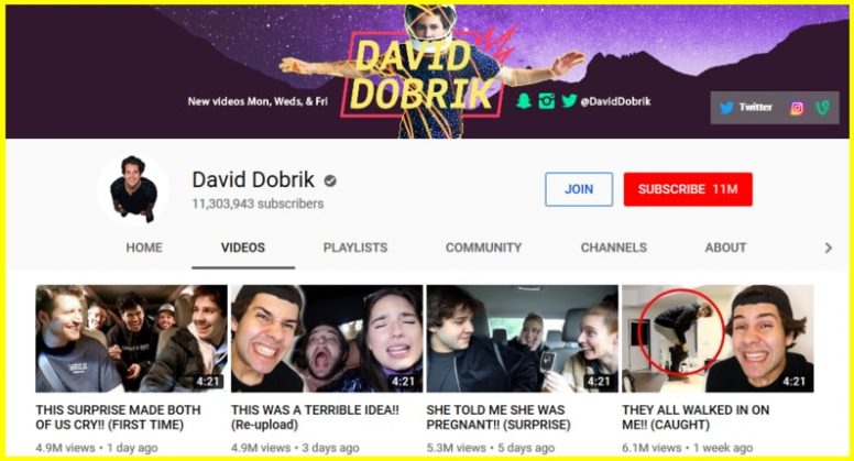 David Dobrik vlog