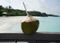 coconut water | Matey Lifestyle