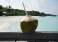 coconut water | Matey Lifestyle