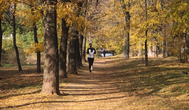 running in the morning under the tree