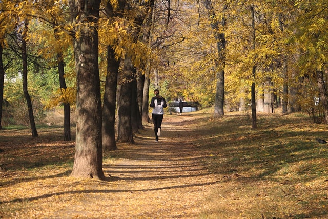 How To Become A Morning Workout Person In 7 Steps + Tips 3 morning exercise person
