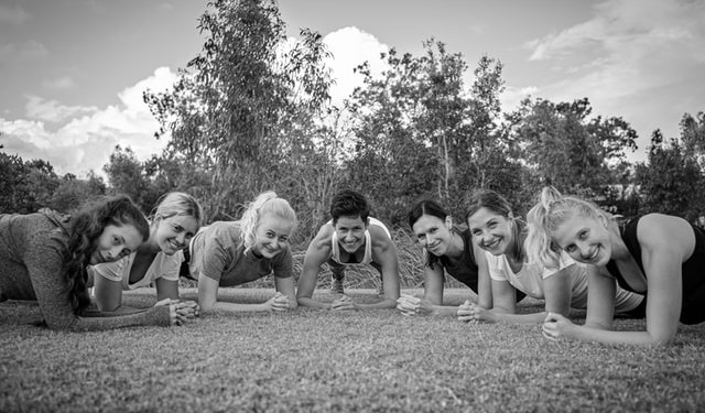 plank planks