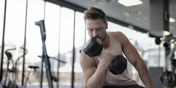 dumbell workout pushup curls at home dumbell workout pushup curls at home | Matey Lifestyle